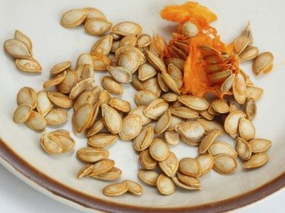 pumpkin seeds