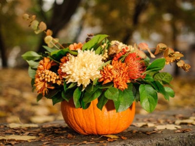 pumpkin planter