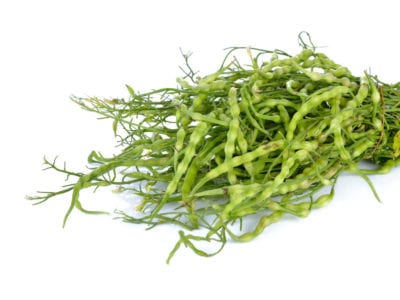 radish pods