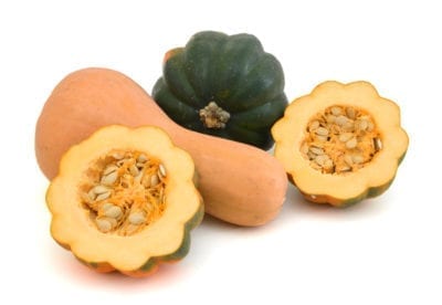 winter squash