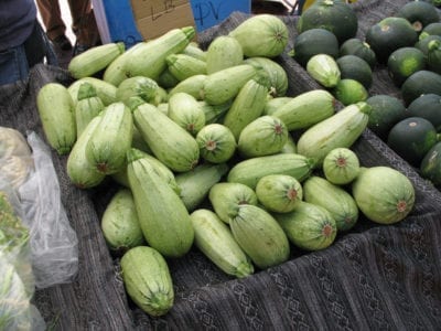 marrow squash