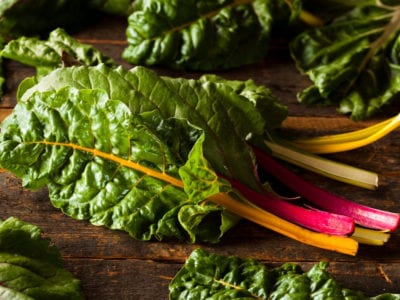 rainbow swiss chard