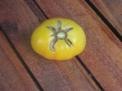 garden peach tomato