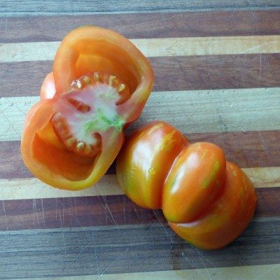 hollow tomato