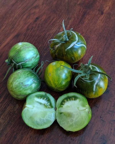 green moldovan tomato