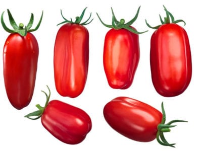 san marzano tomatoes