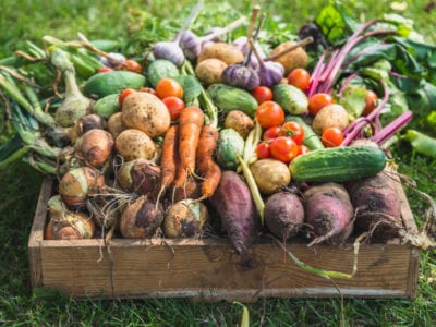 family vegetable garden