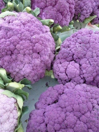 purple cauliflower