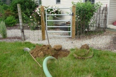 septic tank gardening