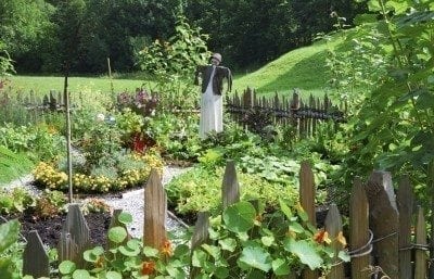 vegetable garden1