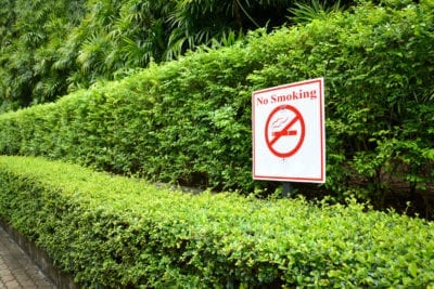 no smoking