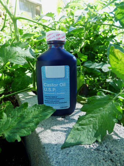 castor oil