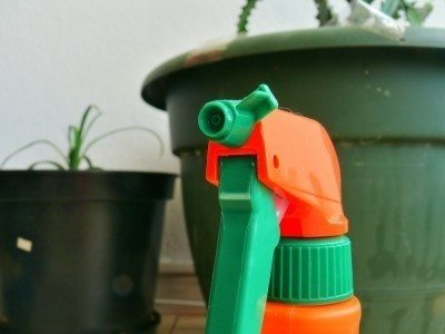 spray bottle2