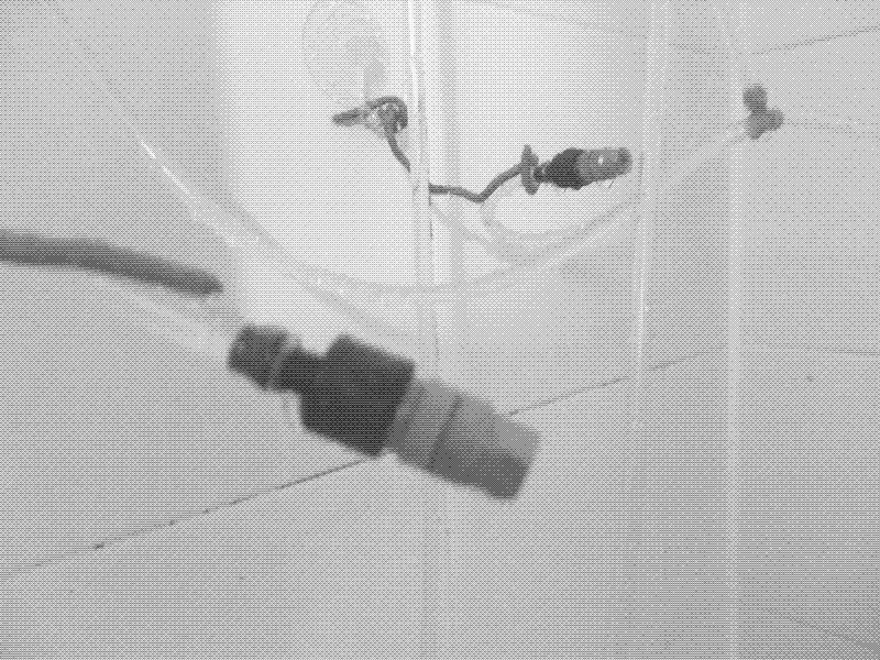 Detail meiner Nebeldusche