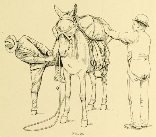 High-Tech Knotting the Diamond Hitch