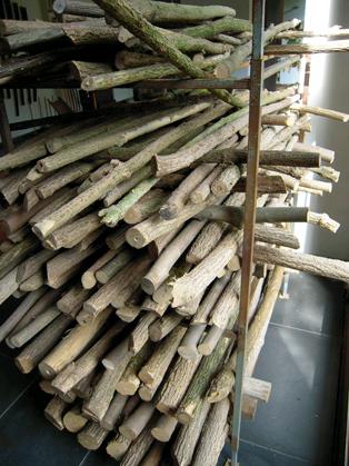 drying branches for making flutes