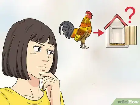 Image titled Rehome Your Chickens Step 1