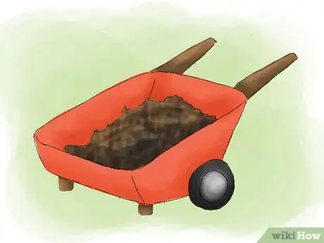 Image titled Plant Pyracantha Step 14