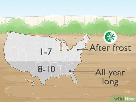 Image titled Plant Gloriosa Bulbs Step 1