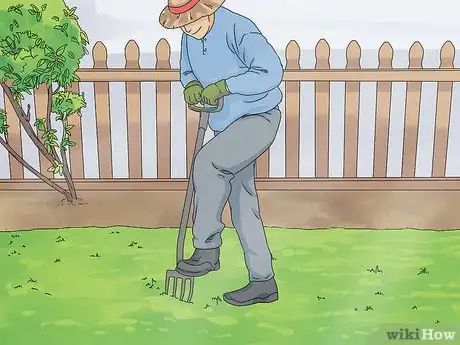 Image titled Grow Agrimony Step 6