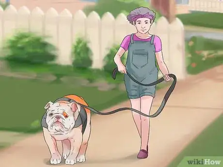 Image titled Keep Kids Interested in Caring for Their New Dog Step 1
