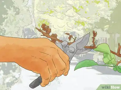 Image titled Stage Your House for Selling Step 10