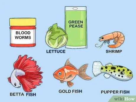 Image titled Ensure Your Pet Fish Are Healthy Step 3