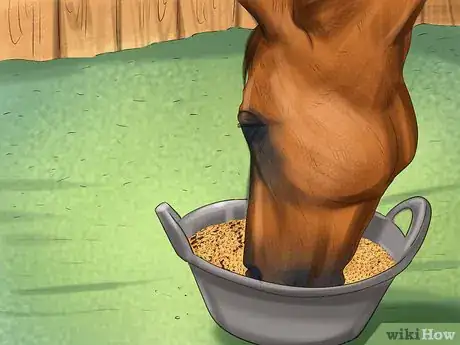 Image titled Diagnose the Cause of Fatigue in Horses Step 5