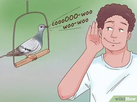 Image titled Encourage Doves to Coo Step 1