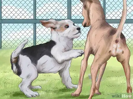 Image titled Make Your Dog Get Along With Other Dogs Step 15