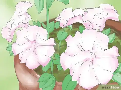 Image titled Deadhead Petunias Step 7