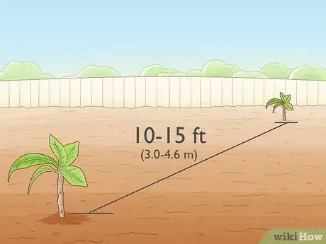 Image titled Grow a Noni Tree Step 18