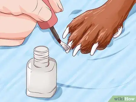 Image titled Put Nail Polish on Your Dog's Nails Step 9