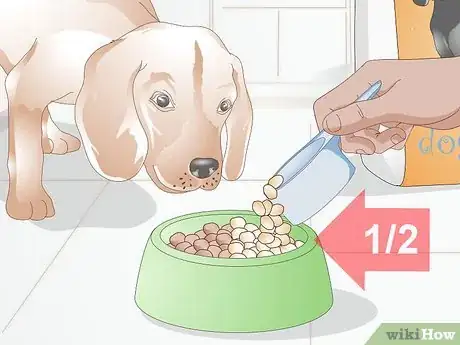 Image titled Put Your Dog on a Limited Ingredient Diet Step 10