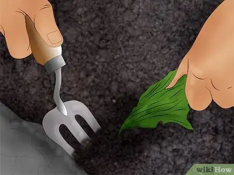 Image titled Kill Weeds Step 6