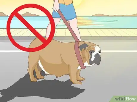 Image titled Keep a Dog Cool in Hot Weather Step 7