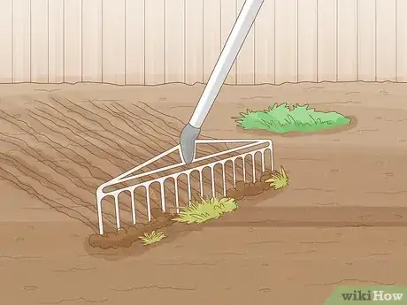 Image titled Sow Yellow Rattle Step 5