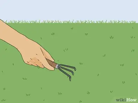 Image titled Bring Back Dead Grass Step 7