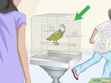Image titled Deal with a Fearful or Stressed Senegal Parrot Step 3