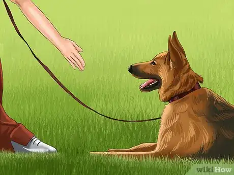 Image titled Get the Right Stuff for Your New Puppy Step 9