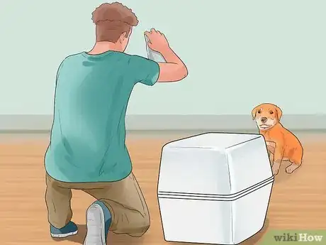 Image titled Show Your Dog Where He Is in the Pack Step 1