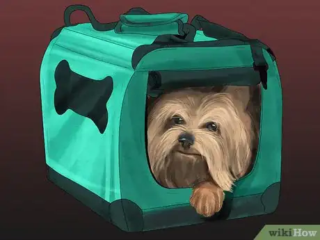 Image titled Keep Toy Breed Dogs Safe Around Kids Step 14