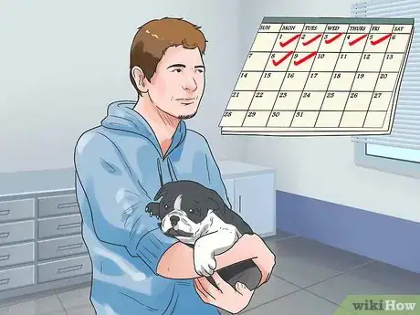 Image titled Care for Bulldogs Step 1
