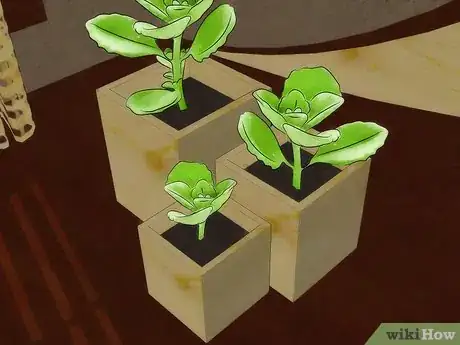 Image titled Place Houseplants Around Your Home Step 8