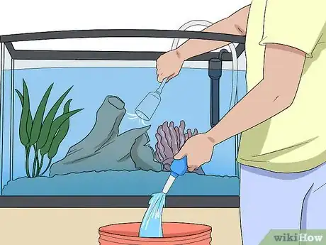 Image titled Ensure Your Pet Fish Are Healthy Step 9