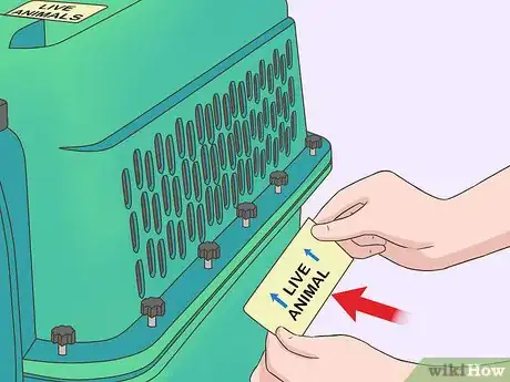 Image titled Fly with Pets Step 10