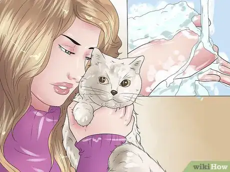 Image titled 1447355 10