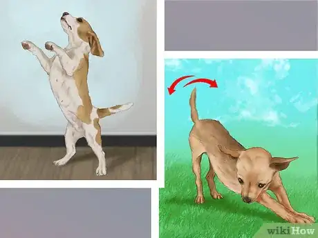 Image titled Make Your Dog Get Along With Other Dogs Step 4