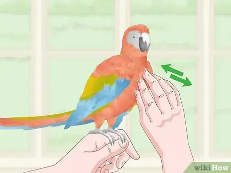 Image titled Treat and Prevent Macaw Bites Step 5