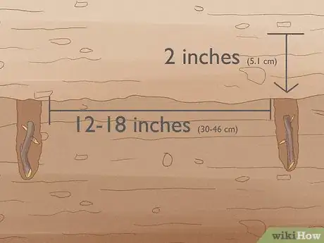 Image titled Propagate Hollyhocks Step 7